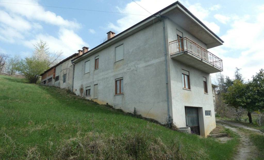 video image