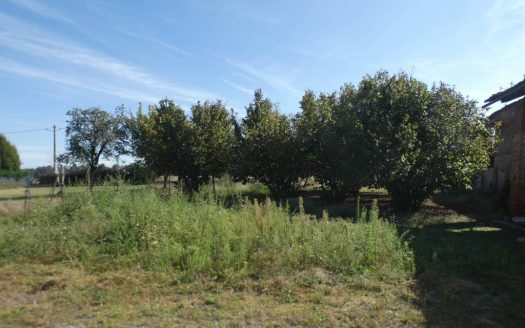 Rustico, Breolungi, Mondovì