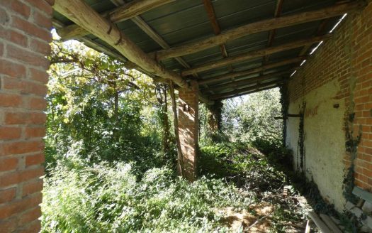 Rustico, Pogliola Mondovì