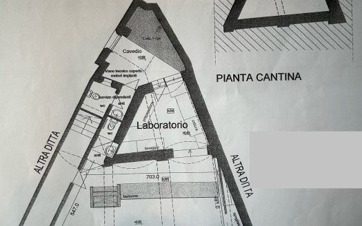 Focacceria Mondovì